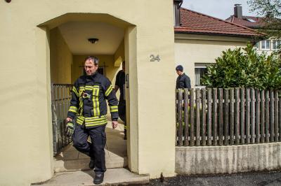 Stuttgart: Hund aus Fuchsbau befreit